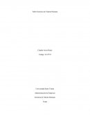 Ensayo Teletrabajo “Una forma de laborar diferente”