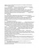 Proyecto de prescripcion