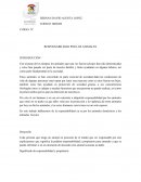 Responsabilidad de los animales