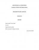 ARGUMENTACION JURIDICA DERECHO RESUMEN