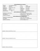 PROGRAMACION DE ACCIONES Y ESTABLECIMIENTO DE COMPROMISOS