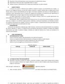 Practica laboratorio medición de la fuerza