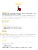 SECUENCIA DIDÁCTICA ADIVINANZAS