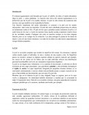 Tejido Tegumentario