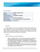 SISTEMA DE CORRUPCIÓN