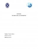 BUSINESS MATRICES DE LAS EXPOSIONES