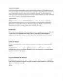 Analisis de liquidez