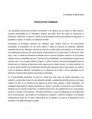 ECONOMIA ALIMENTARIA PRODUCCION PRIMARIA