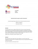 REDUCIENDO DESECHOS ORGANICOS A TRAVES DE LA LOMBRICULTURA