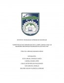 Competencias mas demandadas en el campo laboral para los ingenieros industriales egresados