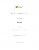 Restricción a las importaciones en el Ecuador