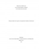 Bibliotecas digitales