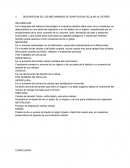 DESCRIPCION DE LOS MECANISMOS DE ADAPTACION CELULAR AL ESTRÉS