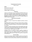 Comportamiento del Consumidor Análisis 2º parcial