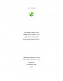INFORME TABLA PERIODICA