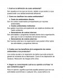 Cuál es la definición de costo ambiental?