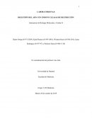 LABORATORIO No.8 DIGESTIÓN DEL ADN CON ENDONUCLEASAS DE RESTRICCIÓN