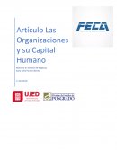 Las Organizaciones y su Capital Humano