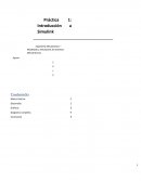 Práctica de Simulink