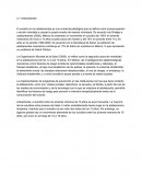 Antecedentes - Suicidio en adolescentes