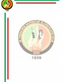 Investigación sobre el Comportamiento del Consumidor en la Ciudad de Loja