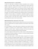 DERECHOS HUMANOS EN LA EDAD MEDIA