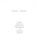 Investigacion Los Mercados Globales