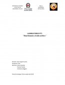 LABORATORIO N°2 ´´Bicarbonato y Acido acético ´´