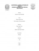 Ensayo el país de uno (País corrupto y País discriminador)