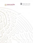 PRÁCTICA DE LABORATORIO REDUCCIÓN DE TAMAÑO Y ANÁLISIS GRANULOMÉTRICO