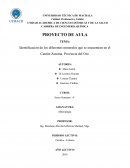 Identificación de los diferentes minerales que se encuentran en el Cantón Zaruma, Provincia del Oro