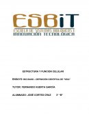 BIG BANG – DEFINICIÓN CIENTIFICA DE “VIDA”