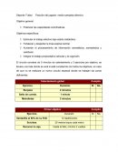 Ensayo sobre un plan de entrenamiento