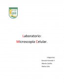 Laboratorio: Microscopía Celular