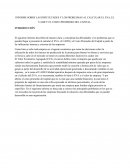 INFORME SOBRE LAS DIFICULTADES Y LOS PROBLEMAS AL CALCULAR EL EVA, EL UAIDI Y EL COSTO PROMEDIO DEL CAPITAL.