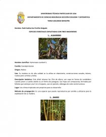 ESPECIES FORESTALES EXPLOTADAS CON FINES MADEREROS. Página 1