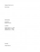 TRABAJO PRACTICO N° 5 SOCIOLOGIA