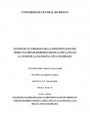 ESTUDIO DE FACTIBILIDAD PARA LA IMPLEMENTACION DEL PRODUCTO CHIPS DE DESHIDRATADO DE LA FRUTA PIÑA EN LA CIUDAD DE LA PAZ BOLIVIA, ZONA SUR OBRAJES