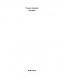 TRABAJO ECOLOGÍA FRACKING PUBLICIDAD