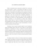 Leer, más allá de una concepción cognitiva