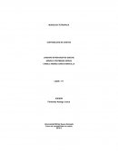 Formato de presentacion de los avances del proyecto