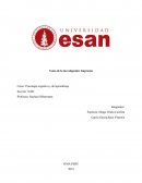 Psicología cognitiva y del aprendizaje