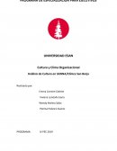 Cultura y Clima Organizacional Análisis de Cultura en SANNA/Clínica San Borja