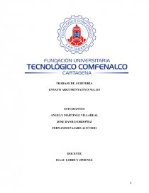 ENSAYO DE LA NIA 315: IDENTIFICACIÓN Y EVALUACIÓN DE LOS RIESGOS DE ERROR MATERIAL, SU ENTORNO Y CONTROL INTERNO MEDIANTE EL ENTENDIMIENTO DE LA ENTIDAD Y SU ENTORNO. Página 1