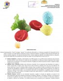 SISTEMA HEMATOPOYETICO