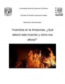 Relaciones Internacionales. “Incendios en la Amazonas, ¿Qué detonó este incendio y cómo nos afecta?”