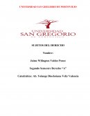 El concebido como sujeto de derecho