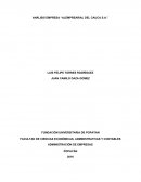 ANÁLISIS EMPRESA “ALEMPREARIAL DEL CAUDA S.A.”