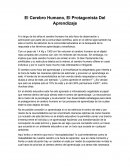 El Cerebro Humano, Protagonista Del Aprendizaje