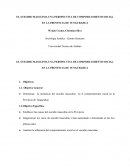 EL SUICIDIO MASCULINO, UNA PERSPECTIVA DE COMPORTAMIENTO SOCIAL